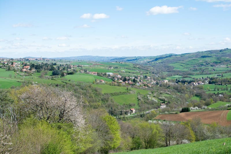 Excursion à Brussieu et être intrigué par des carrières - Brussieu