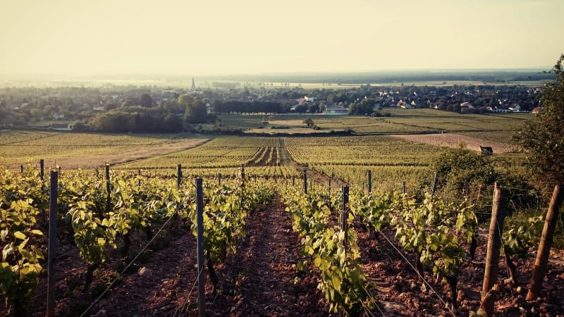 Givry et promenade élégante dans les vignes - Givry