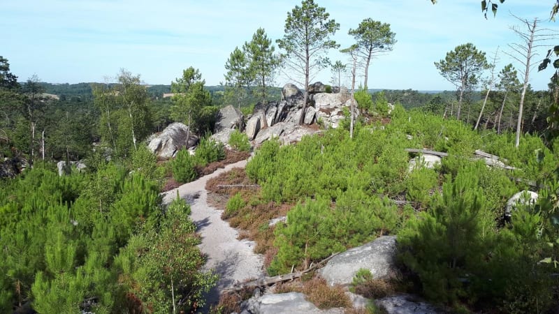 Chaos rocheux et forêt mystérieuse autour de Fontainebleau - Noisy-sur-Ecole