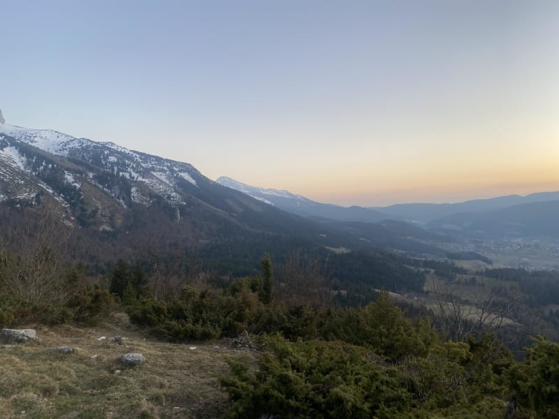 Balcons sous les Rochers de l'Ours et essences arboricoles - Villard-de-Lans