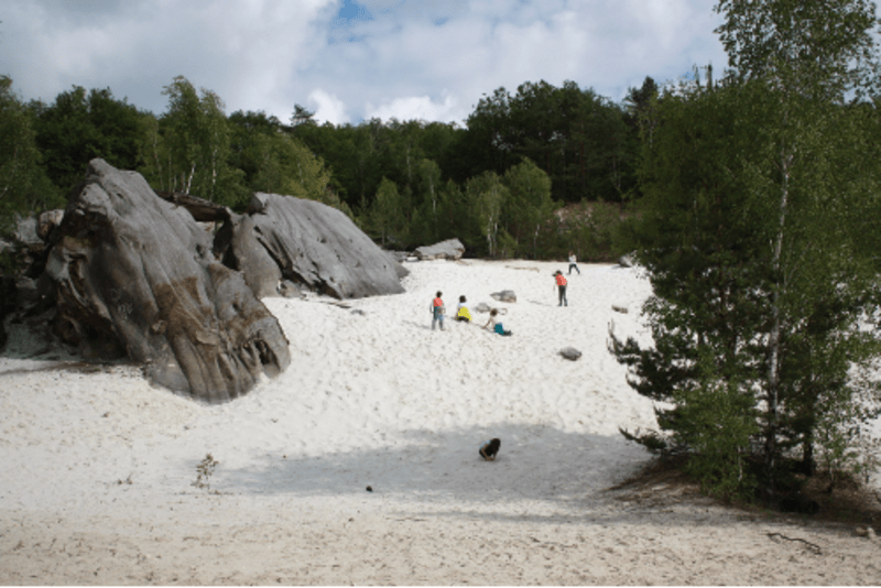Carrière de sable à Darvault et marche digestive en forêt - Darvault