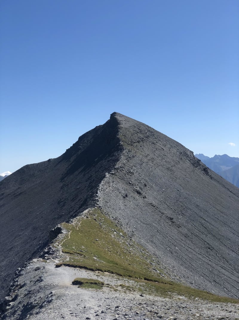 Ambiance lunaire au Mont Mounier et cache-cache animalier - Valberg