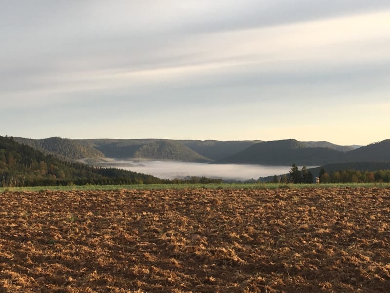 Forêt de Saint-Léonard et découverte des Ballons des Vosges - Saint-Léonard