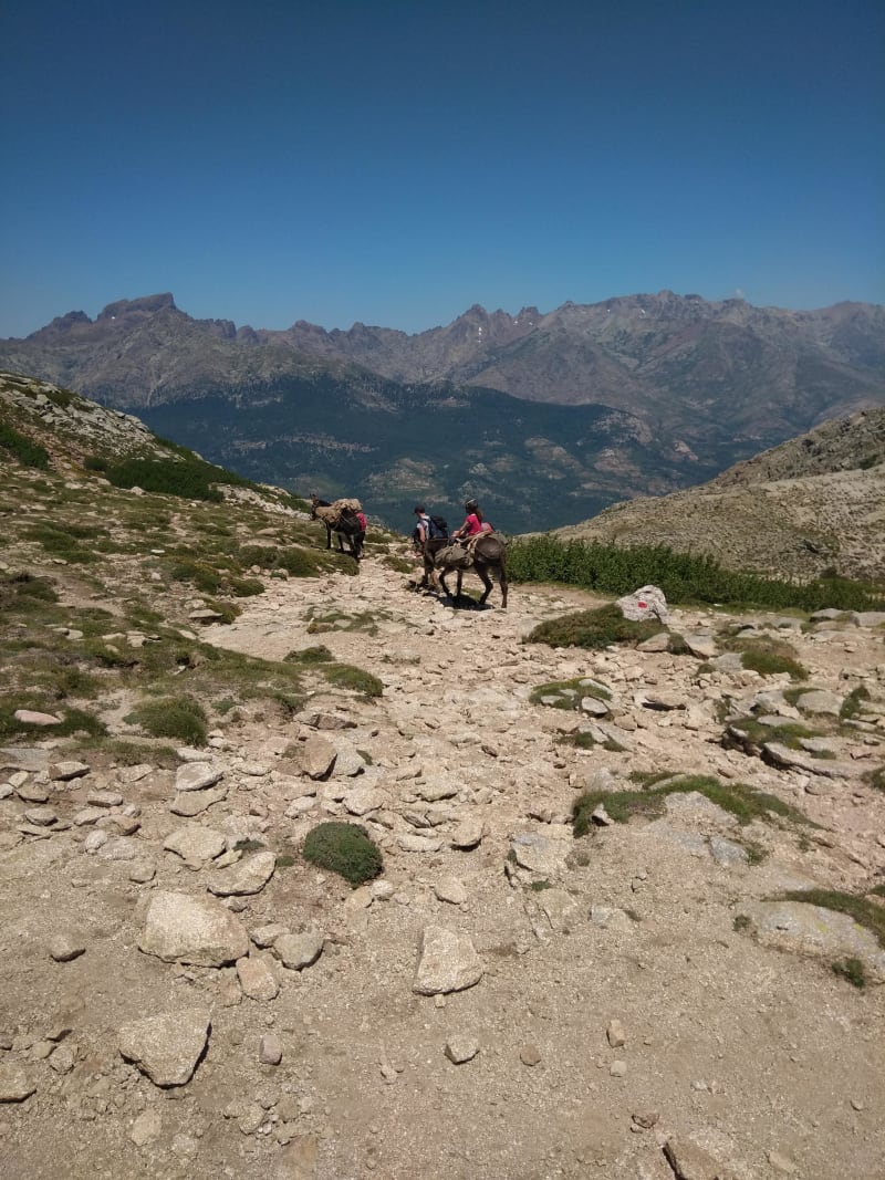 Pozzines verdoyantes au Lac de Nino et panoramas arides - Albertacce