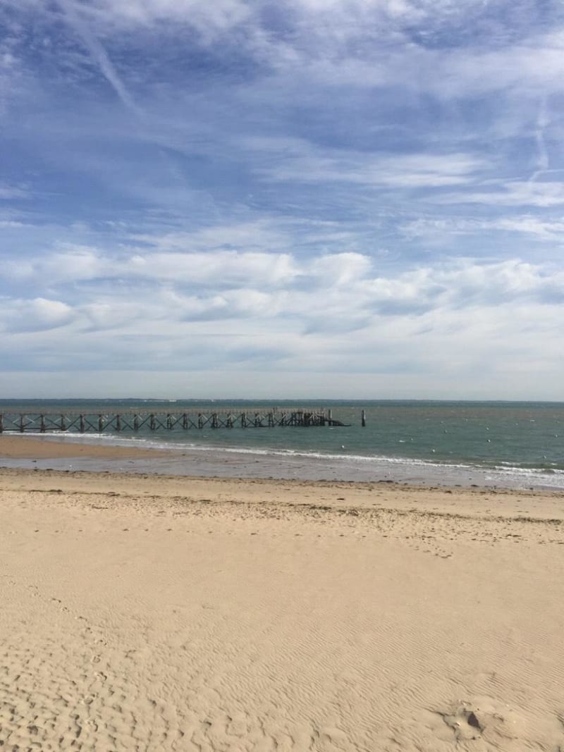 Noirmoutier, et sa réserve naturelle des Marais de Müllembourg - Noirmoutier-en-l'Île