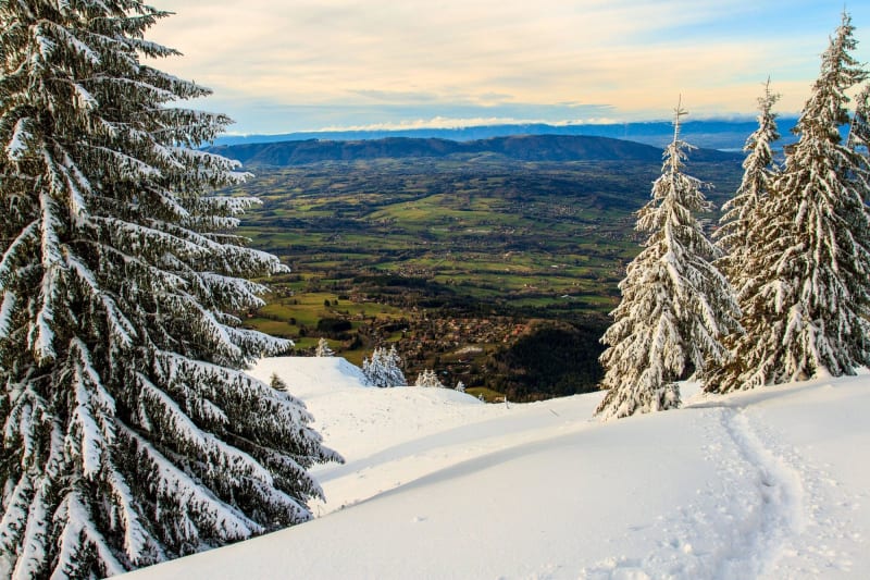 Pointe de Sur Cou et vues sur les belles forêts enneigées - Le Chesnet, Saint-Sixt