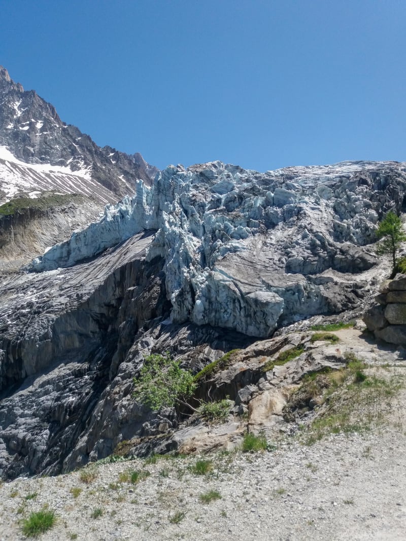 Glacier d’Argentière et dégustation de mets savoyards - Les Chosalets, Argentière