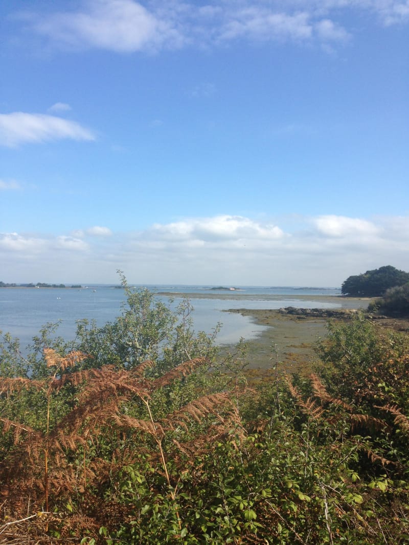 Virée à Sarzeau et balade entre terre et mer - Morbihan