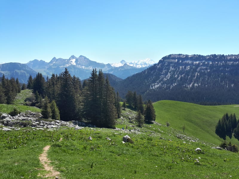 Montagne de Sous-Dine et montée vertigineuse en Haute-Savoie - Thorens-Glières
