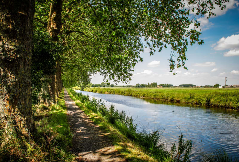Platanes centenaires et canal de Seclin à vélo - Seclin