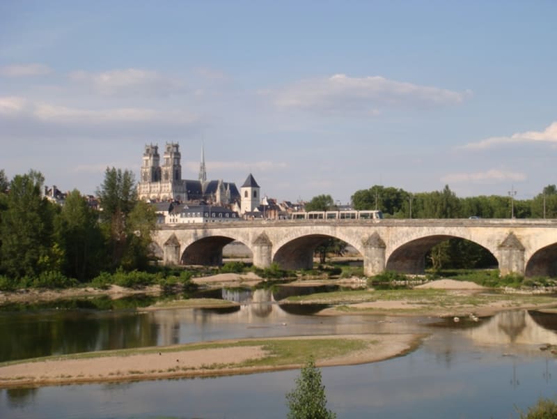Promenade dans Orléans et secrets d'histoire - Orléans