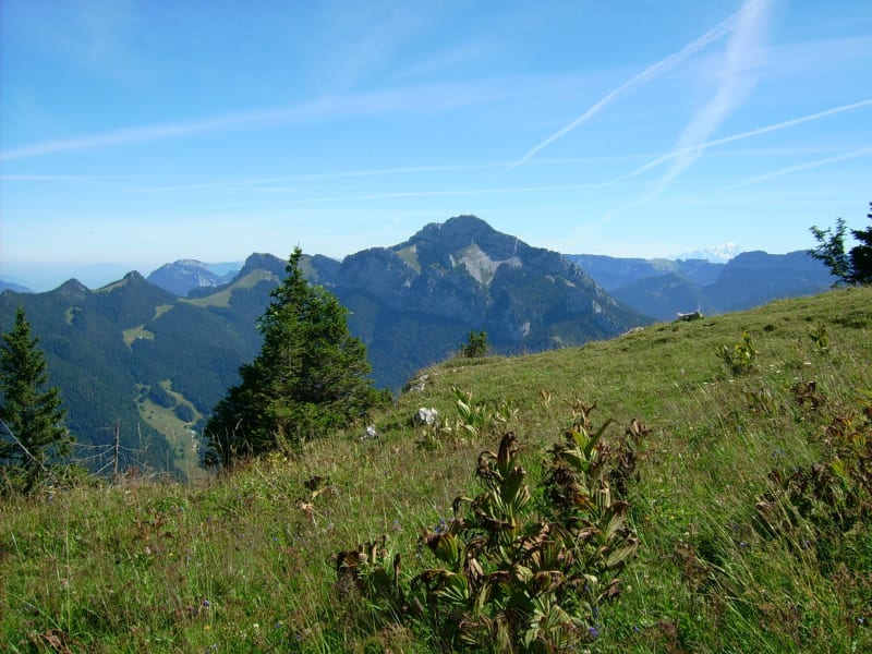 Ascension du Charmant Som et vue splendide sur le Mont-Blanc - Col de la Charmette, Proveysieux