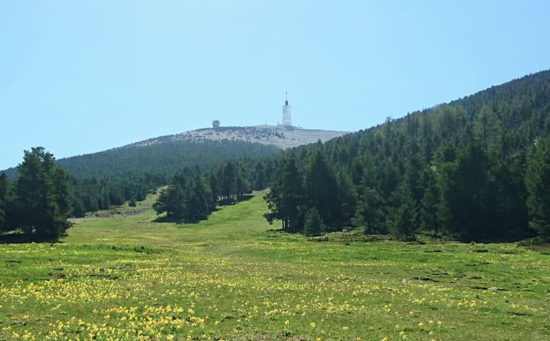 Petite expédition au Mont-Ventoux et à son sommet lunaire - Beaumont-du-Ventoux