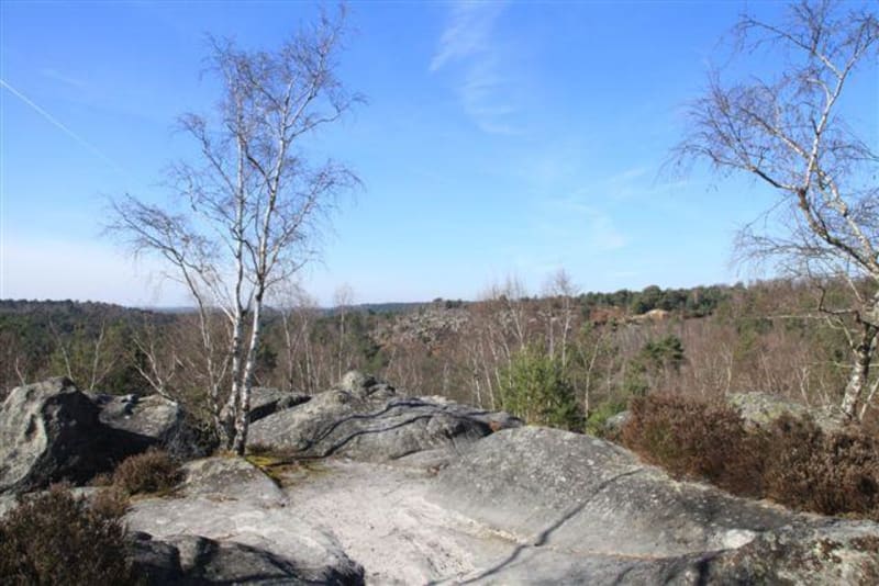 Chaos de roches dans les Gorges d'Apremont et mini-randonnée - Fontainebleau