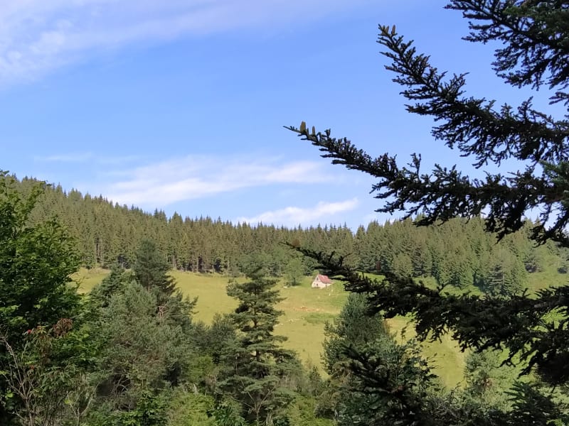 Découverte des étangs en vallée de Bethmale et virée sportive - Bethmale