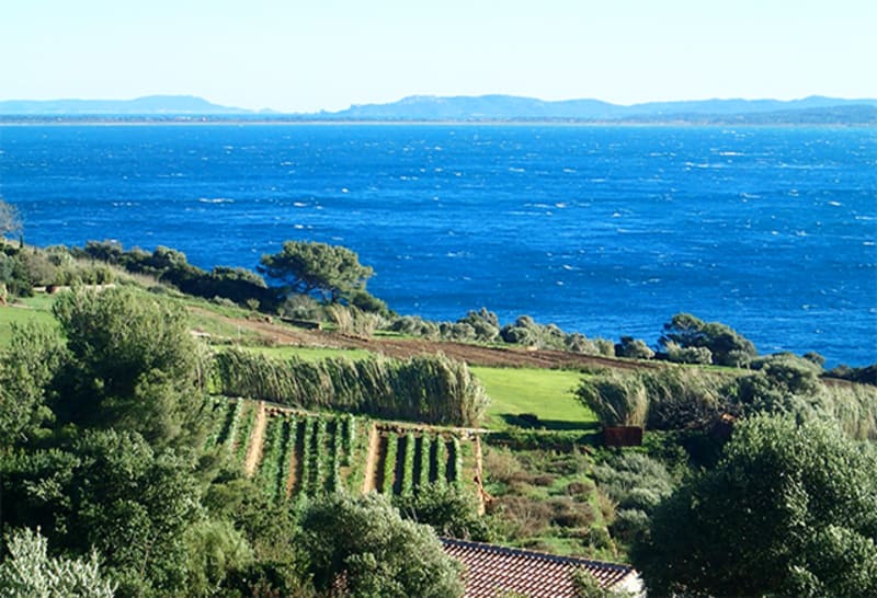 Route du Canebas et évasion sensorielle sur la côte varoise - Carqueiranne