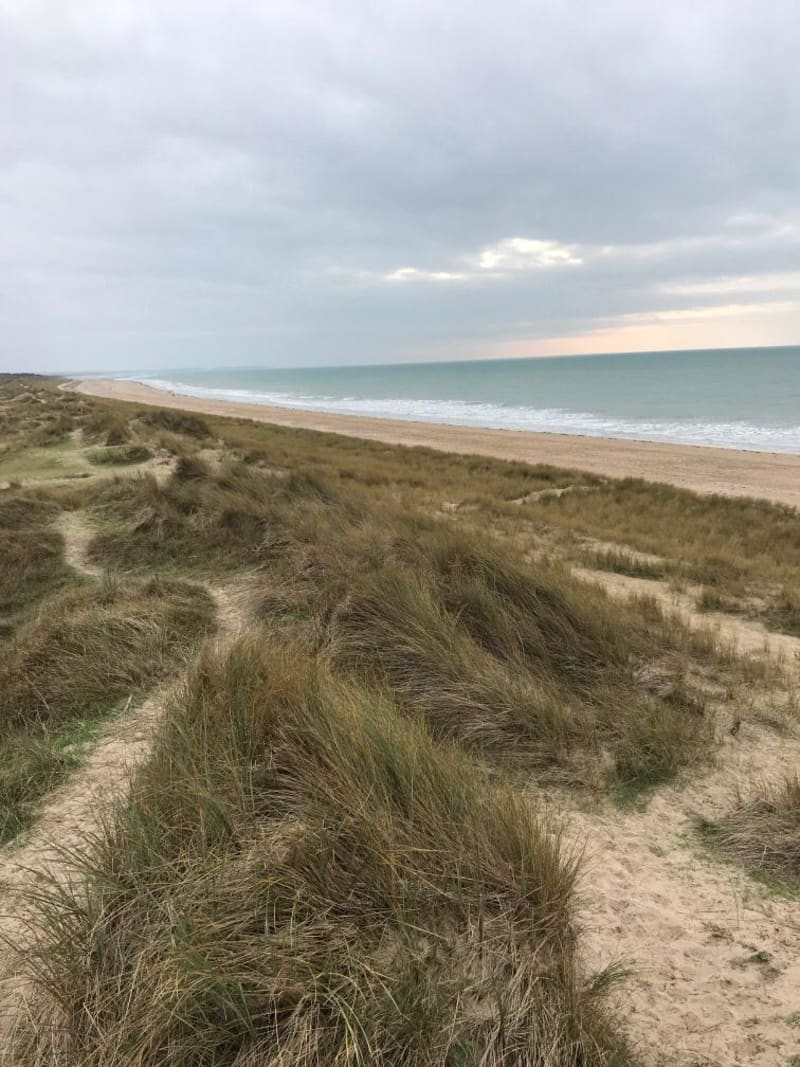 Havre de paix à Annoville et escapade dans les dunes - Annoville