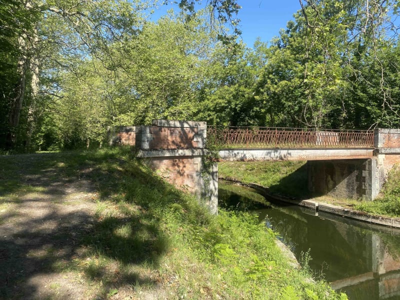 Tour de l'Etang du Puits et virée sauvage en Sologne - Argent-sur-Sauldre