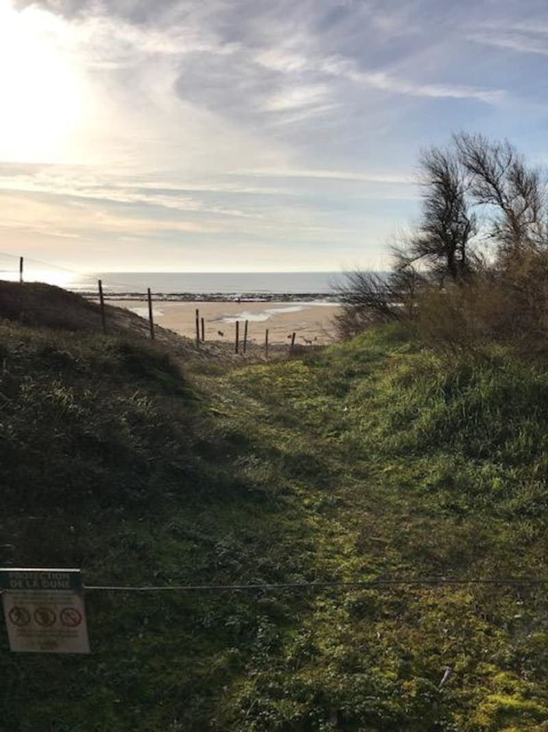 Forêt domaniale de Longeville-sur-Mer et bol d'air marin - Longeville-sur-Mer