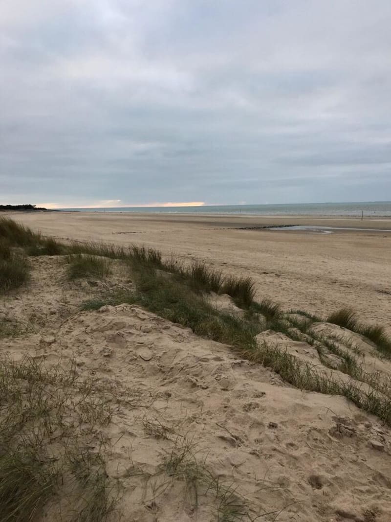 Promenade autour de Hauteville-sur-Mer et parenthèse iodée - Hauteville-sur-Mer