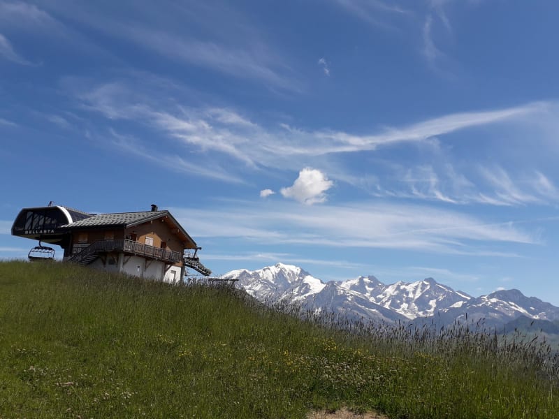 Marmottes des alpages, mont Blanc et deux Savoie - Megève