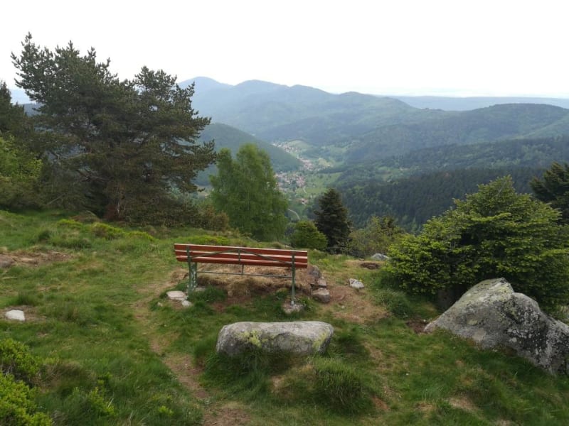 Tour du Petit Ballon et immersion au cœur d'une nature verdoyante - Wasserbourg