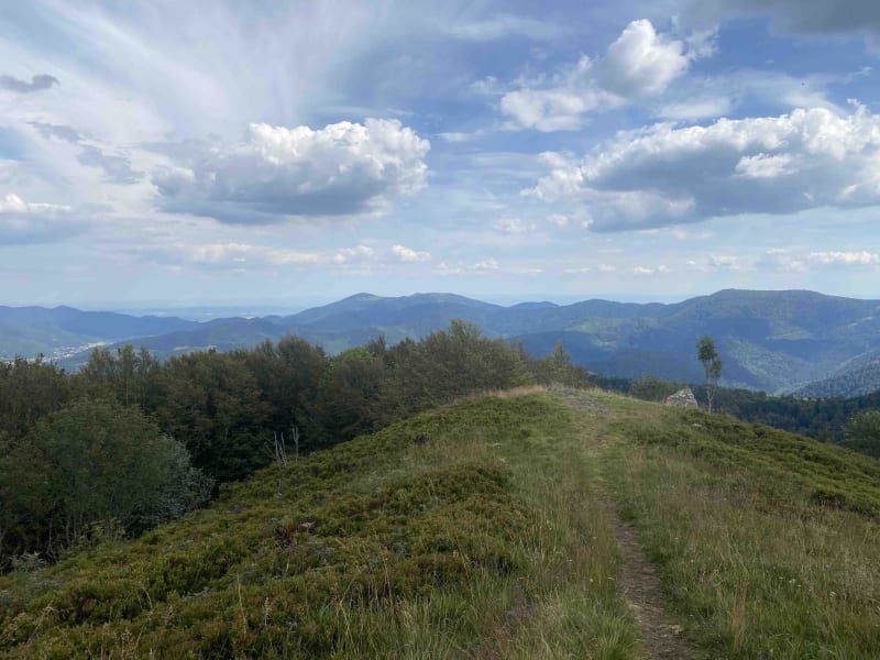 Le Drumont au départ du col du Page et paysages champêtres - Bussang