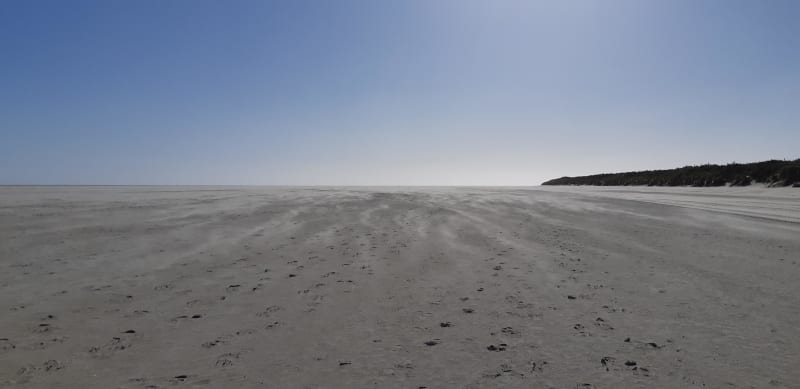 Réserve naturelle de la baie de Somme ses oiseaux - Saint-Quentin-En-Tourmont
