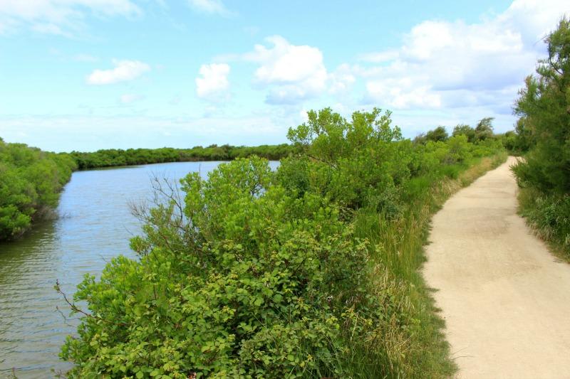 Sentier littoral du Teich et paradis des oiseaux - Le Teich