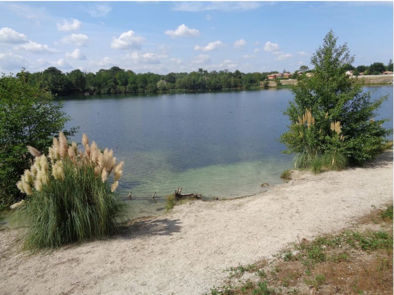 Parc Arboudeau et promenade au coeur des bois - PAREMPUYRE