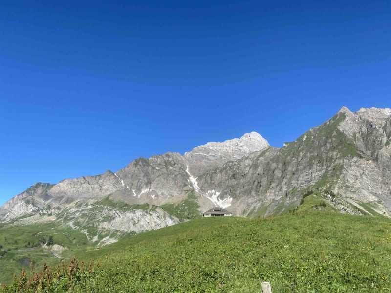 Croix de Stata et exploration des plantes en milieu alpin - La Clusaz