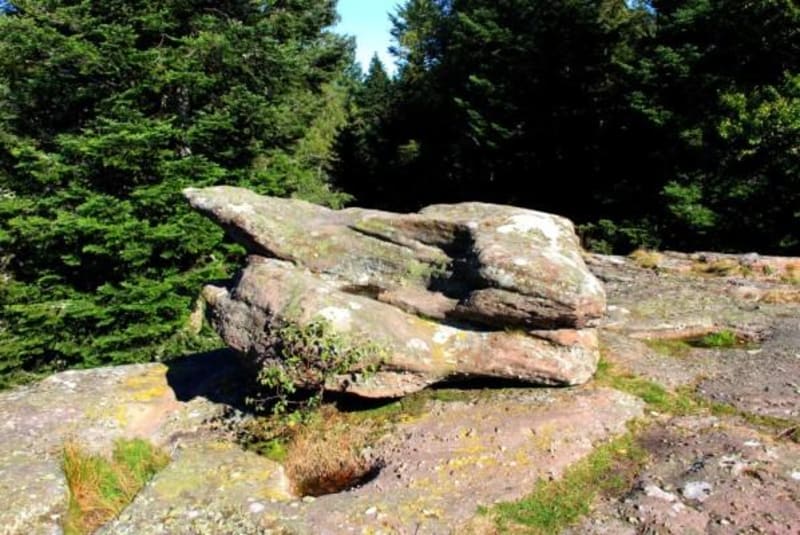 Balade celtique au légendaire rocher du Lottelfels - Oberhaslach