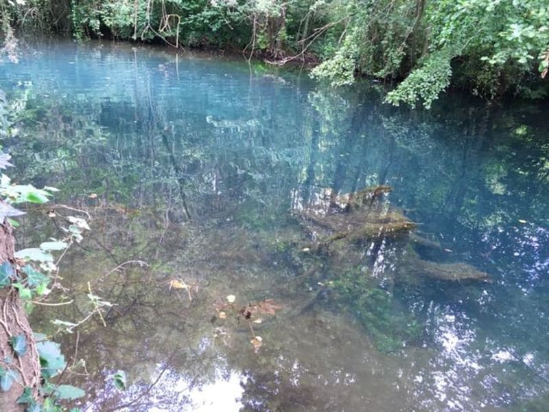 Eaux bleues de Tavers et sources bouillonnantes - Tavers