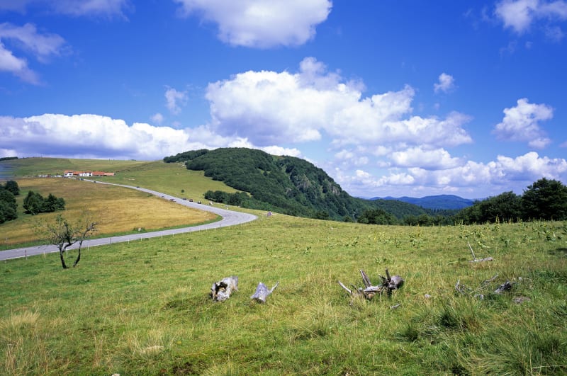 Col du Ballon d'Alsace et panorama sur le Massif des Vosges - Saint-Maurice-sur-Moselle
