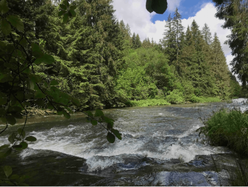 Gorges de Fourpéret et randonnée Jurassienne vivifiante - Métabief