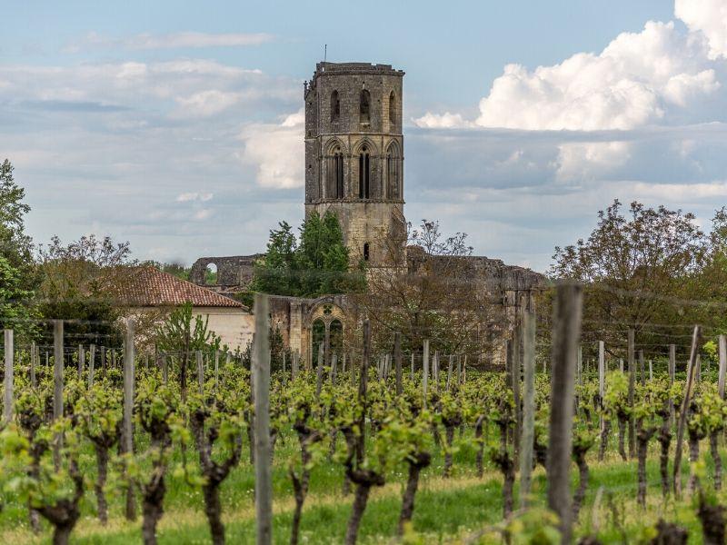 La grande boucle de La Sauve et escapade historique entre les vignes - La Sauve