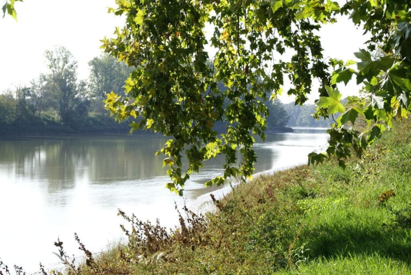 Boucle de Saint-Pierre d'Aurillac et douceur des berges de la Garonne - Saint-Pierre-d'Aurillac