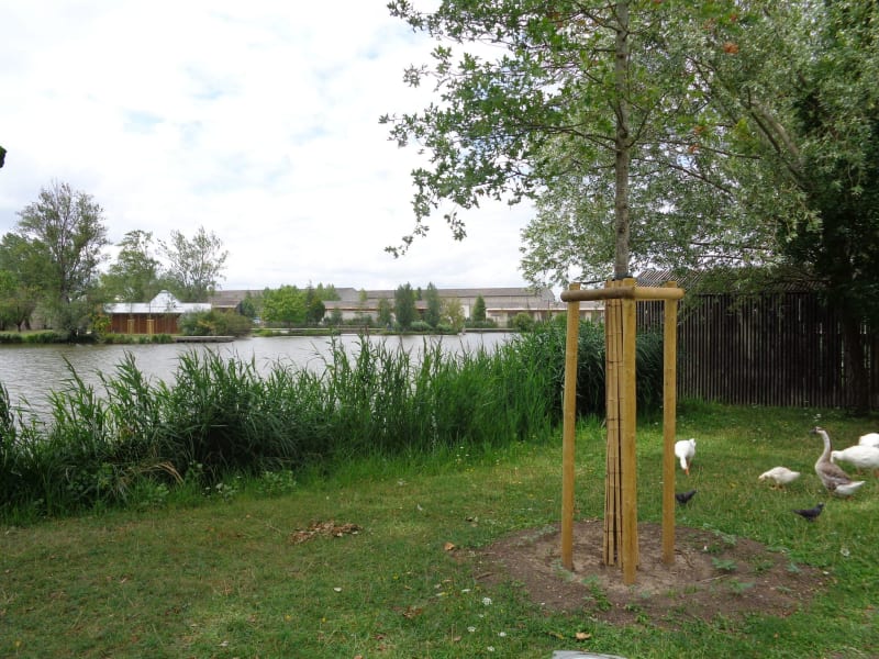 Le parc des étangs et son cadre parfait pour un moment de détente - FLOIRAC