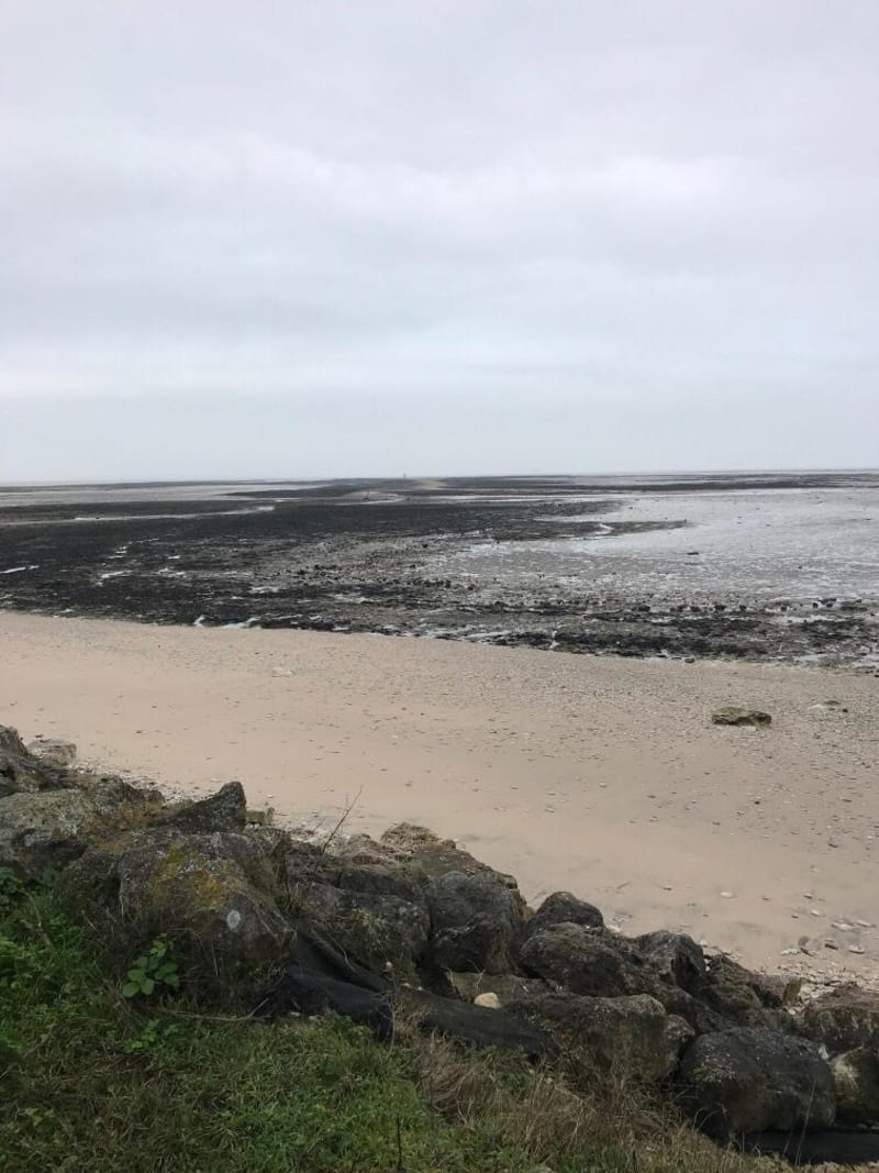 Tour de l’île Madame et expérience amusante sur la Passe aux Bœufs - Saint-Nazaire-sur-Charente