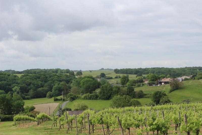 Boucle locale de Cayfas et escapade entre vignes et forêts - Listrac-de-Durèze