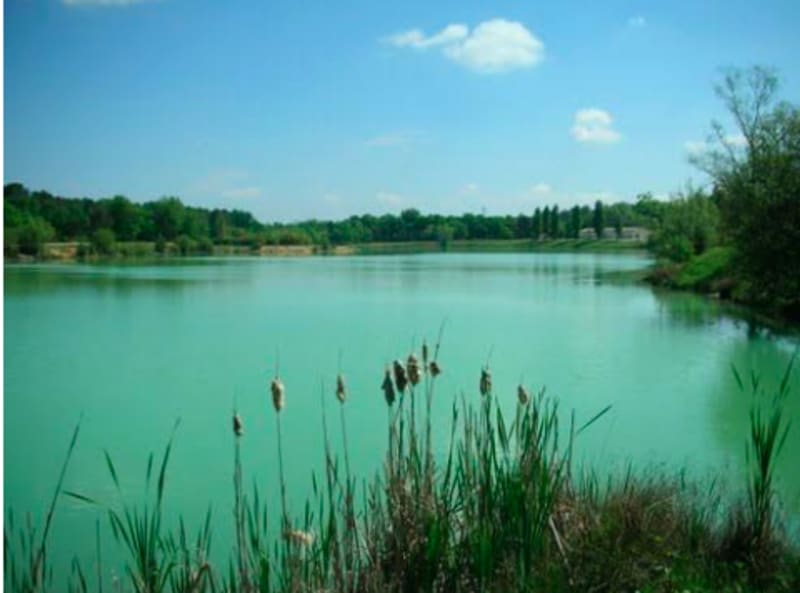 Tour du Lac Vert et détente à la base de loisirs - Canejan