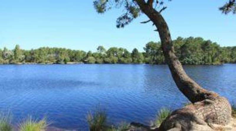 Le parc de la Magdeleine et son superbe lac - GUJAN-MESTRAS