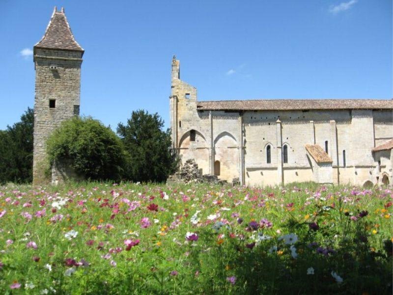 Boucle locale de Blasimon et évasion le long des coteaux - Blasimon