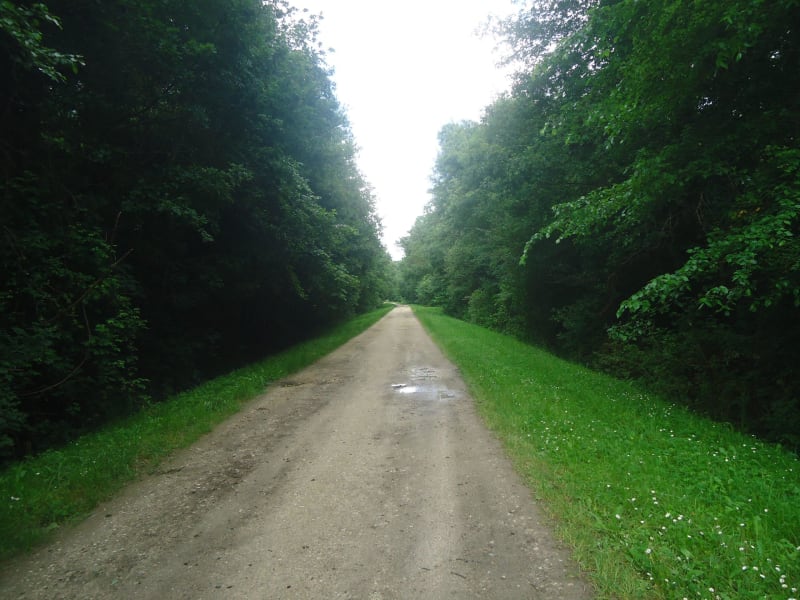 Marais d’Arcins et évasion au cœur d'une végétation variée - Arcins
