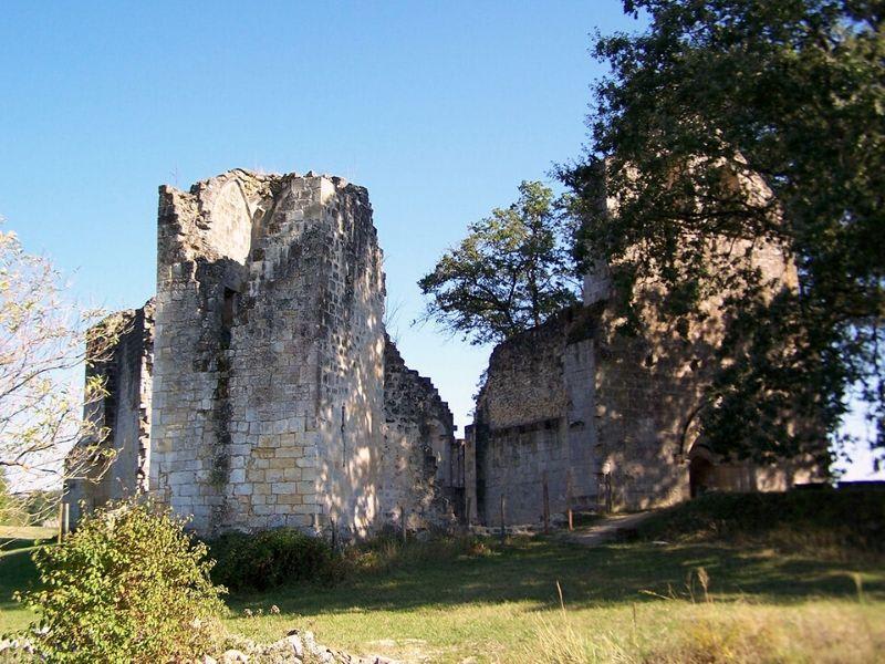 Boucle de la Commanderie de Frontenac et quiétude de la campagne girondine - Frontenac