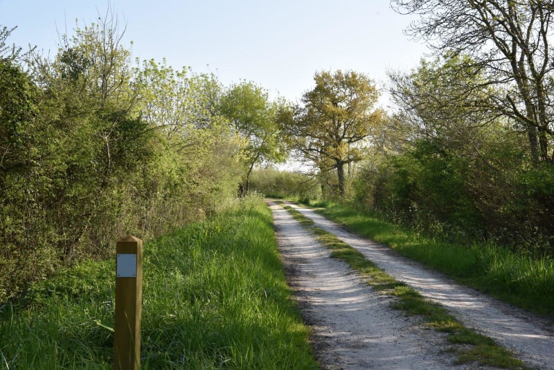 Escapade dans le village de Queyrac et richesse de la nature - Queyrac
