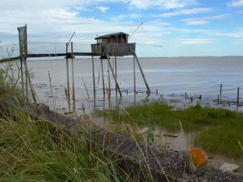 Boucle de l'estuaire et découverte du petit port de Goulée - Valeyrac