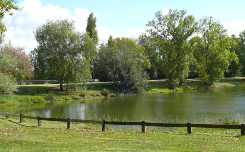 Le parc de Cantefrêne et ses 3 étangs pittoresques - Ambes