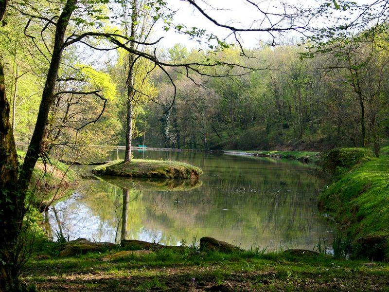 Boucle de l’étang de Caumont et charme caché d'un plan d'eau pittoresque - Caumont