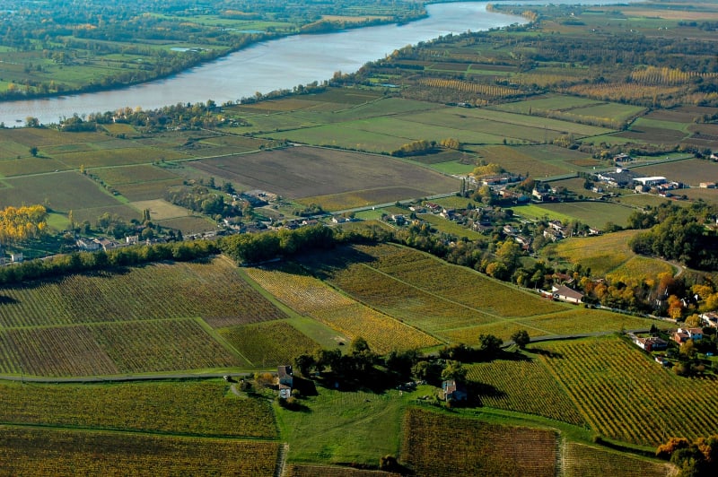 Boucle dans les vignes et escapade le long de la Dordogne - Port-Sainte-Foy-et-Ponchapt